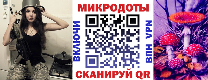 Галлюциногенные грибы Psilocybe  Северо-Курильск 